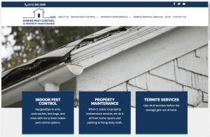 Downs Pest Control & Property Maintenance